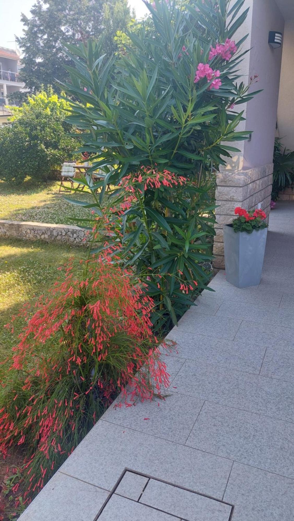 Near The Beach Pula Exterior foto